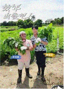 奔跑吧 荔枝影视